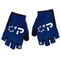 Israel Premier Tech Academy 2024 Summer Gloves