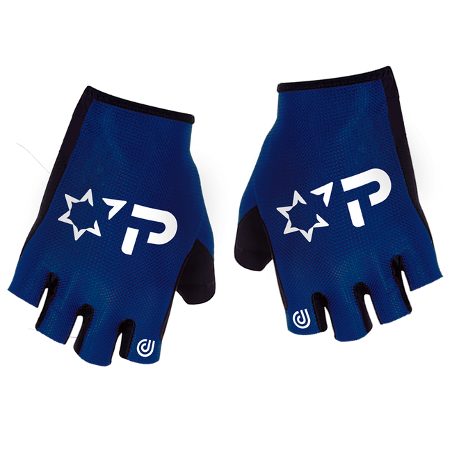 Israel Premier Tech Academy 2024 Summer Gloves