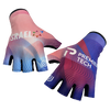 Israel Premier Tech Academy 2023 Summer Gloves