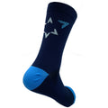 Israel Start Up Nation Team 2021 Race Socks, Blue